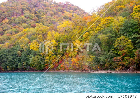 Coloring of Lake Shikotsu 17502978
