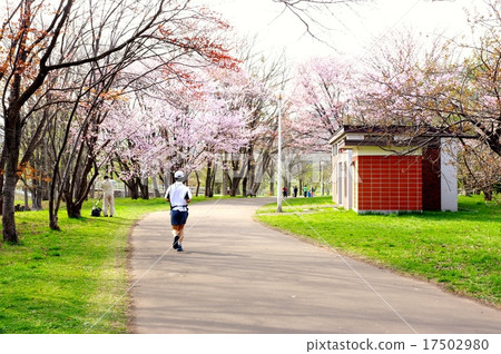 Everyday in the park 17502980