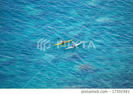 Shakotan Blue 17502981