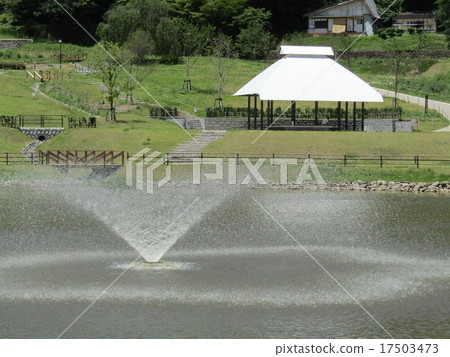 A fountain 17503473