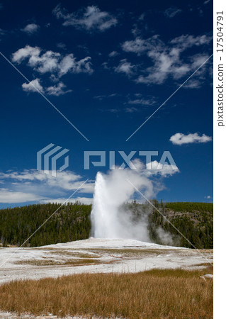 Old Faithful Geyser Old Faithful Geyser 17504791