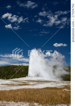 Old Faithful Geyser Old Faithful Geyser 17504792