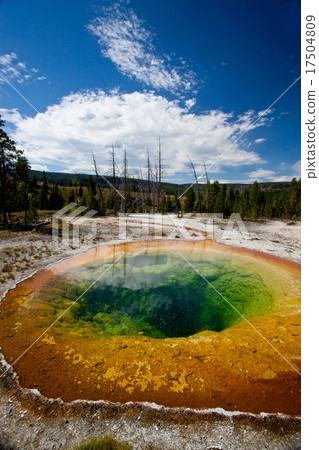 Morning Glory Pools 17504809