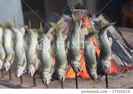 Charcoal grilling of ayu 17505619