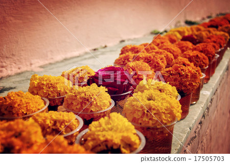 Marigold and rose for offering respect Marigold and rose for offering respect 17505703