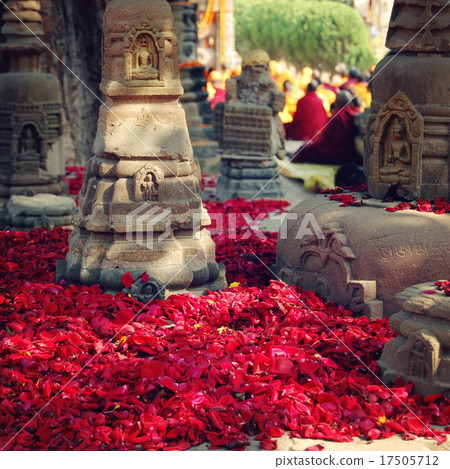 Rose petals for offering respect - retro filter. 17505712