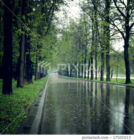 Wet asphalt in the spring park alley - vintage. 17505813