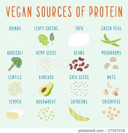 Vegan sources of protein.  17507258