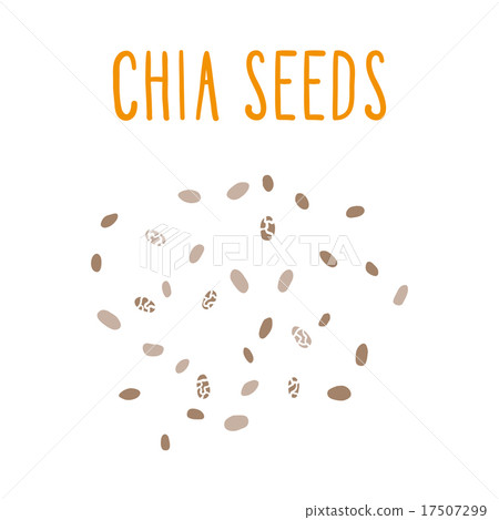 Chia seeds.  17507299