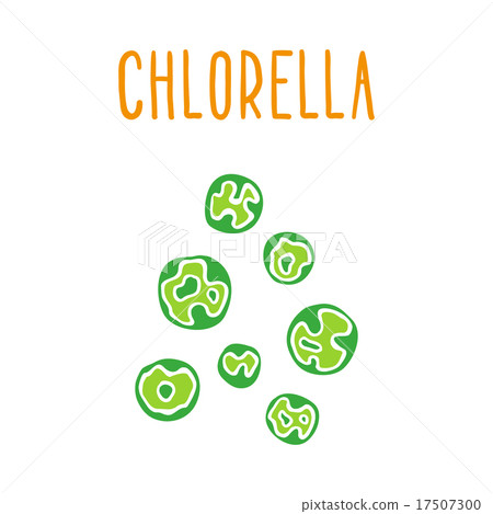 Chlorella.  17507300