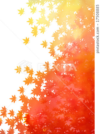 Gradation background of autumn leaves Gradation background of autumn leaves 17508885