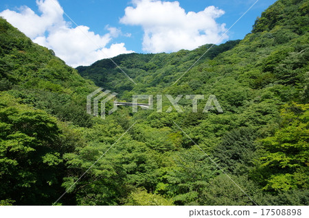 Usui Pass New Line Bridge 17508898