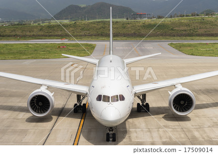 波音787-8 波音787-8 17509014