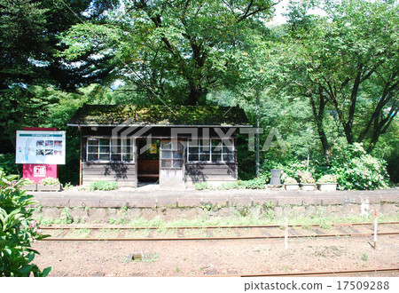 Sawafu Watarase Valley鐵路 Sawafu Watarase Valley鐵路 17509288