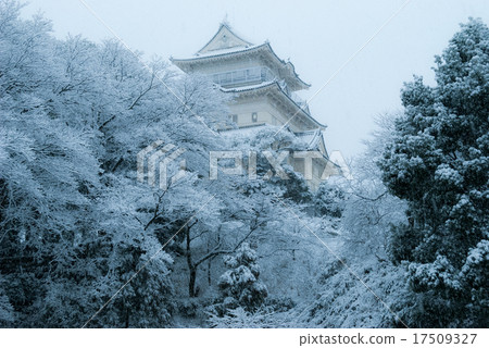 小田原城堡和雪 17509327