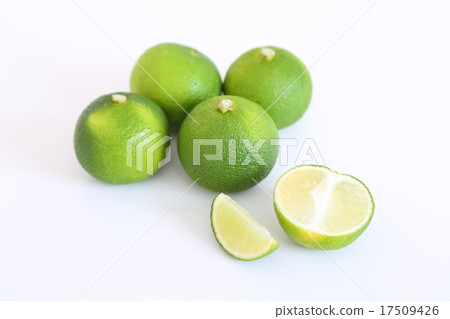 Yuzuki Nagato (Nagato-shi original citrus Yamaguchi prefecture) Yuzuki Nagato (Nagato-shi original citrus Yamaguchi prefecture) 17509426