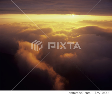 Unkai和Asahi 17510642