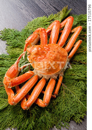 Boiled snow crab 17510796