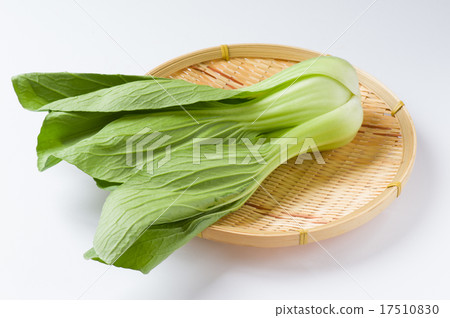 藍栗子 藍栗子 17510830