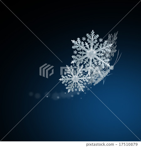 snow butterfly 17510879