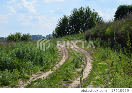 Village natural earth backroad with green grass 17510959