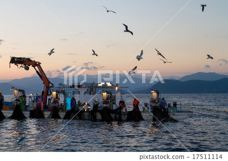 固定網捕魚漁船 17511114