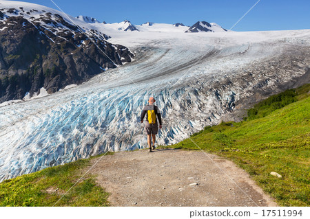 Hike in Exit glacier 17511994