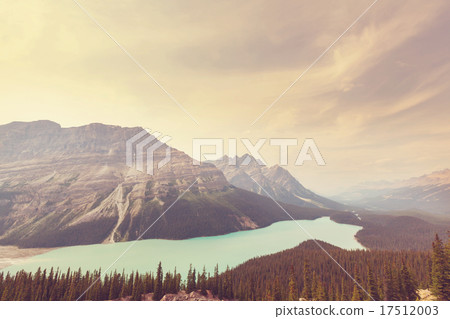 Peyto lake 17512003