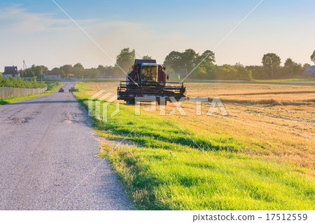 Tractor reaping wheat Tractor reaping wheat 17512559