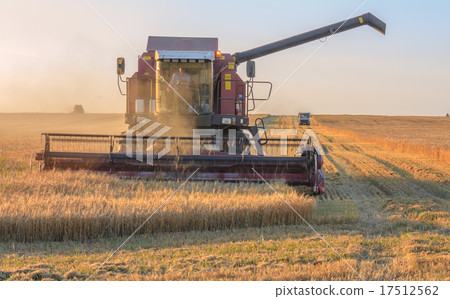 Farmer in tractor Farmer in tractor 17512562