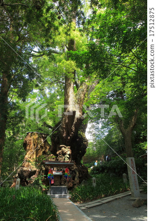 Komiya Shrine Osuni 17512875