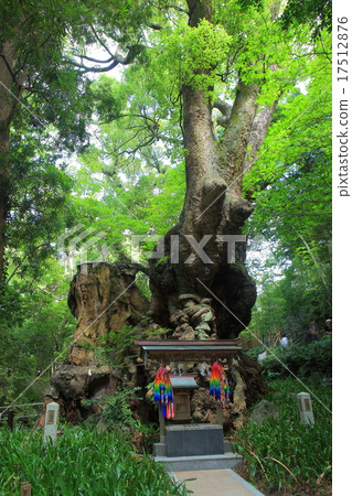 Komiya Shrine Osuni 17512876