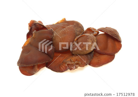 Chrysanthemum 17512978