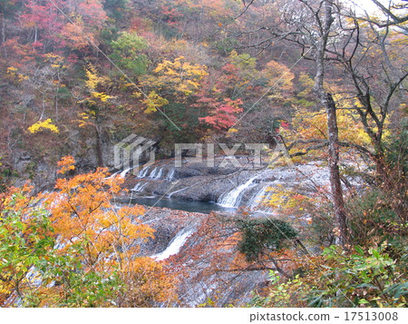 Fukuroda Falls Fukuroda Falls 17513008