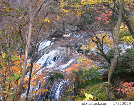 Fukuroda Falls Fukuroda Falls 17513009