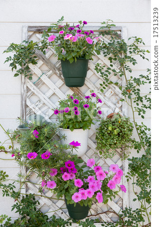 gardening  17513239