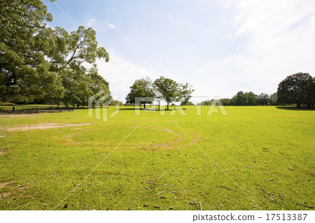 草，樹和藍天風景在奈良市，奈良縣 17513387