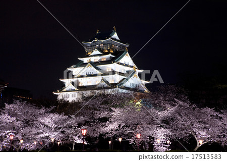 Osaka Castle of Sakura at night 17513583