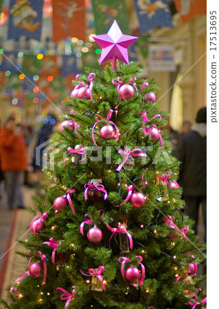 Christmas tree 17513695