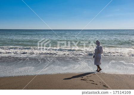 志摩的海女士正在觀看大海 志摩的海女士正在觀看大海 17514109