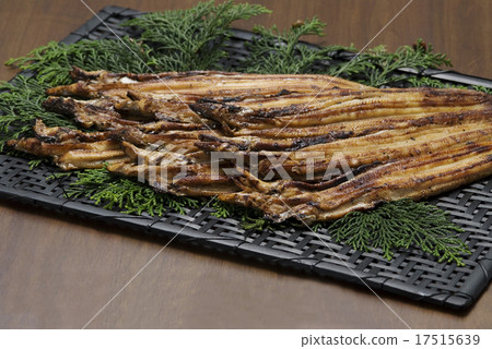 鰻魚 17515639