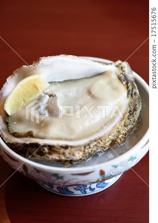 Rock oyster 17515676