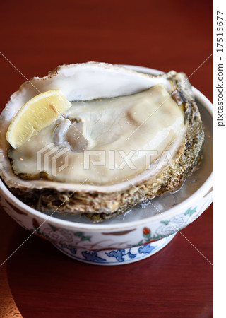 Rock oyster Rock oyster 17515677