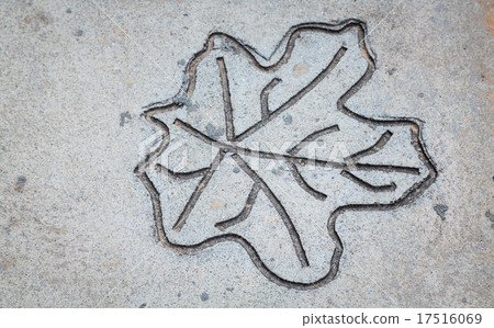 Leaf impression in stone Leaf impression in stone 17516069