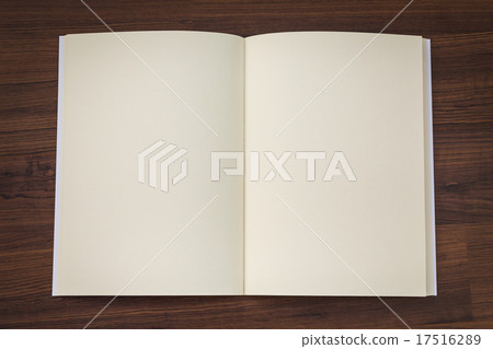 Blank catalog, magazines,book mock up on wood background 17516289