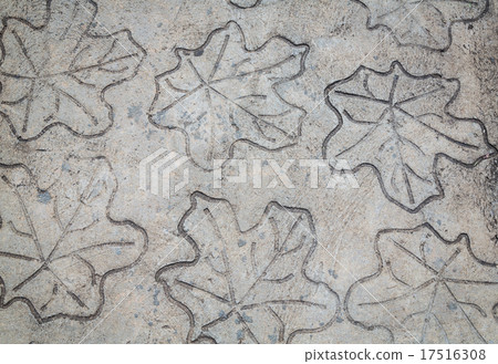 Leaf impression in stone Leaf impression in stone 17516308