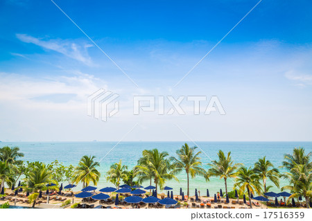 Palm tree with beautiful seascape Palm tree with beautiful seascape 17516359