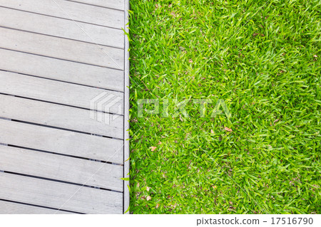 The Walk path in the park with green grass 17516790