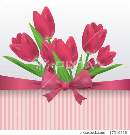 tulip flower tulip flower 17519516