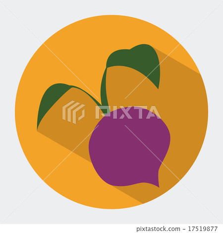 Food design over white background vector illustration Food design over white background vector illustration 17519877